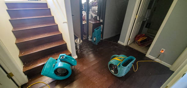Best Professional water damage repair  in Orange Cove, CA
