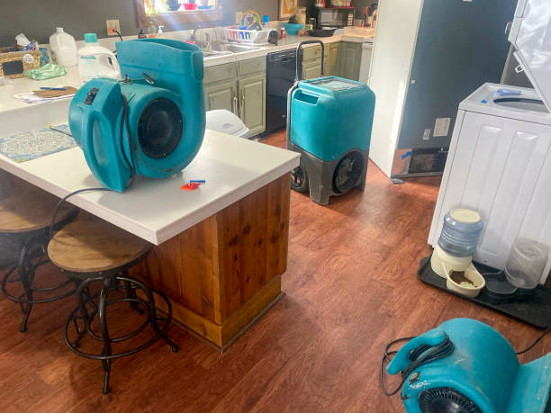 Best Mold removal after water damage  in Orange Cove, CA