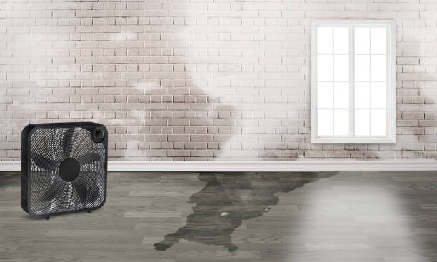 Best Residential water damage restoration  in Orange Cove, CA