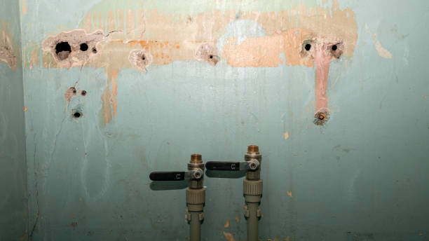 Best Emergency water damage restoration  in Orange Cove, CA