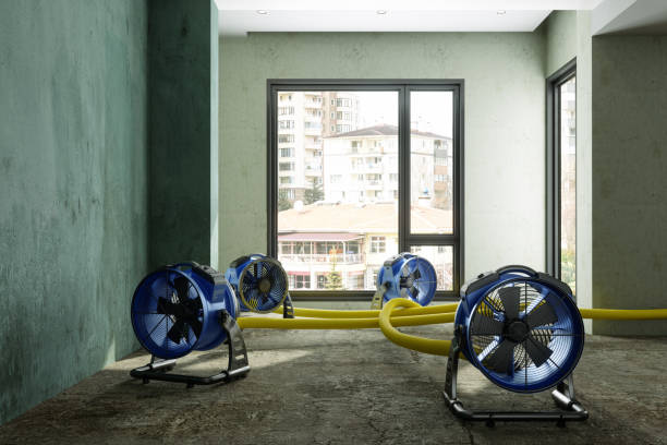 Best Flooded house restoration  in Orange Cove, CA