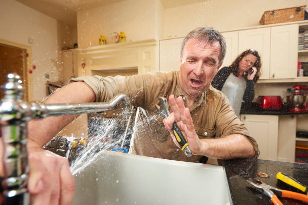 Best Mold removal after water damage  in Orange Cove, CA